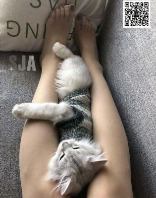 国产的福利视频_剧情片在线播放