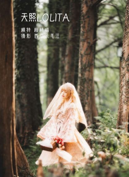 欧美日韩国产综合视频一区二区_HD电影在线观看